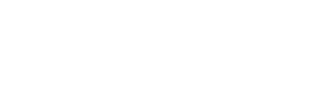 ACE logo